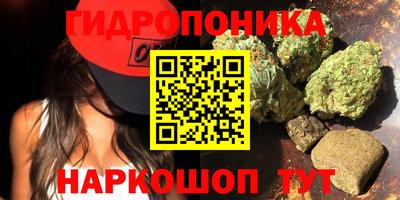 СК Краснокаменск