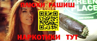 гидропоника Краснознаменск