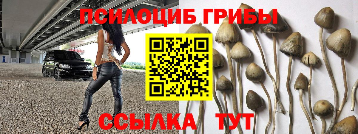Галлюциногенные грибы MAGIC MUSHROOMS  Вход с VPN  Псилоцибиновые грибы мухоморы  Донской 