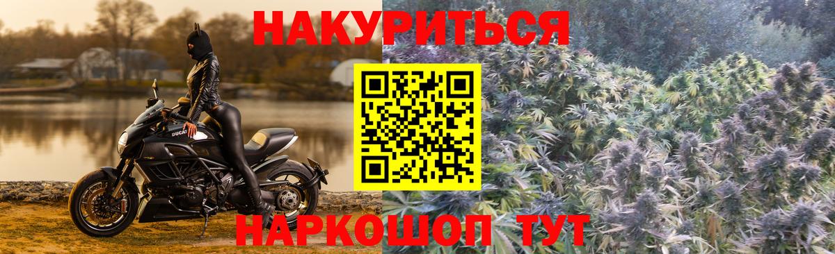 Бошки марихуана план  Шишки марихуана MAZAR  Конопля семена  Донской  Вход с VPN 